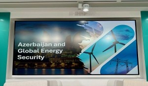 ABŞ-da “Azərbaycan və qlobal enerji təhlükəsizliyi” iclası keçirildi