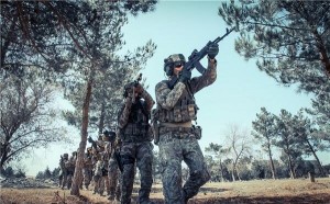 Azərbaycan Ordusu bu dəfə İrəvana girəcək – Akopcanyan
