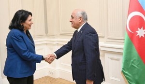 Əli Əsədov Gürcüstan prezidenti ilə görüşdü