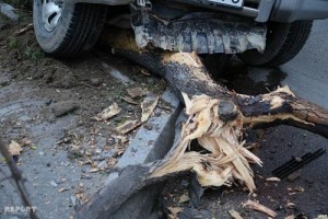 “Ford” ağaca çırpıldı, ölən var