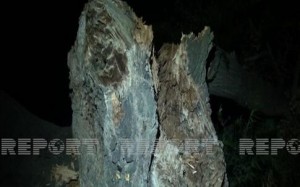 Goranboyda güclü külək fəsadlar törətdi – Foto
