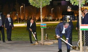 İlham Əliyev “Registan” meydanında ağac əkdi