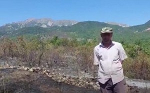 İsmayıllı sakini 3 hektardan artıq ərazini yandırdı – Video