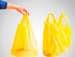 Nazir müşaviri: Polietilen torbalar ödənişli olarsa…