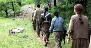 PKK terrorçuları türklərə hücum etdi – Şok video