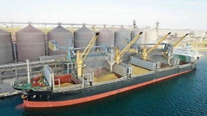 Taxıl dəhlizi: 105 gəmi 2,5 milyon ton daşıdı