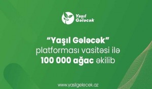 “Yaşıl Gələcək” platforması üzərindən 100 000 ağac əkildi